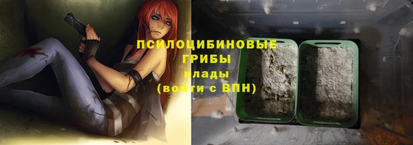 трава Билибино