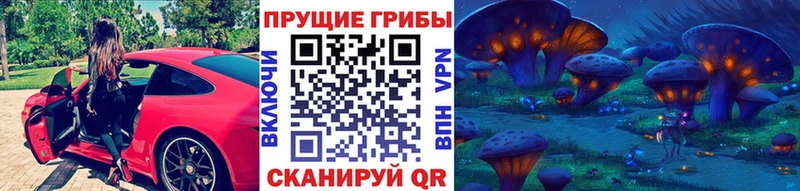блэк спрут   Кемерово  Псилоцибиновые грибы Psilocybine cubensis 