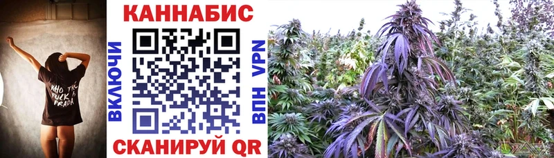 дарнет шоп  сайты даркнета официальный сайт  Конопля Bruce Banner  Кемерово 